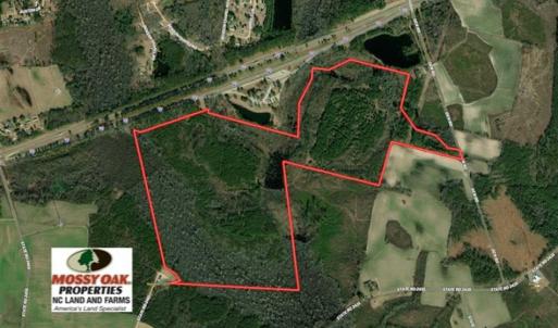Photo of REDUCED! 256 Acres of Timber and Hunting Land For Sale in Robeson County NC!