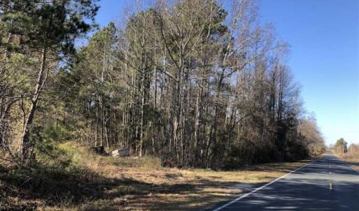Photo of REDUCED! 256 Acres of Timber and Hunting Land For Sale in Robeson County NC!