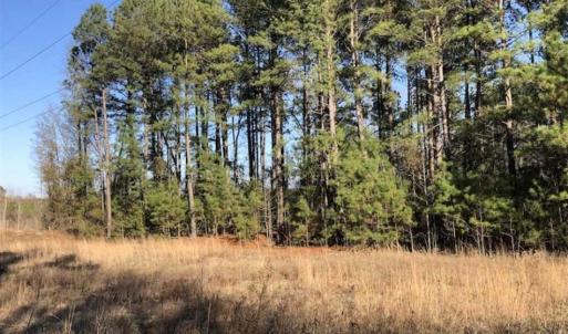 Photo of REDUCED! 256 Acres of Timber and Hunting Land For Sale in Robeson County NC!