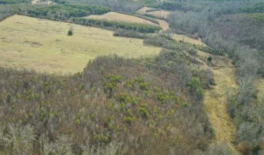 Photo of SOLD!!  46 Acres of Farm and Hunting Land for Sale in Stokes County NC!