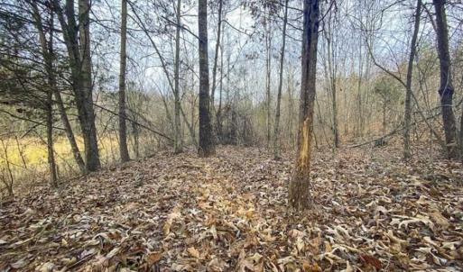 Photo of SOLD!!  46 Acres of Farm and Hunting Land for Sale in Stokes County NC!