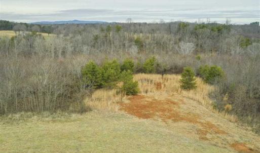 Photo of SOLD!!  46 Acres of Farm and Hunting Land for Sale in Stokes County NC!