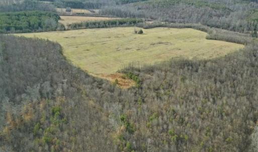 Photo of SOLD!!  46 Acres of Farm and Hunting Land for Sale in Stokes County NC!