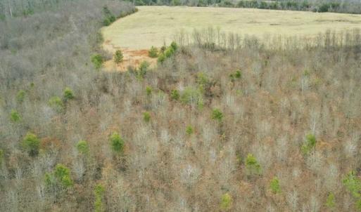 Photo of SOLD!!  46 Acres of Farm and Hunting Land for Sale in Stokes County NC!