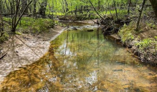 Photo of SOLD!!  46 Acres of Farm and Hunting Land for Sale in Stokes County NC!