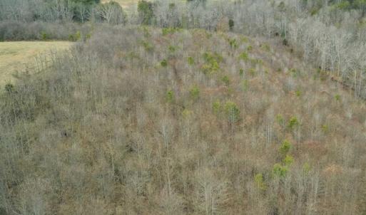 Photo of SOLD!!  46 Acres of Farm and Hunting Land for Sale in Stokes County NC!