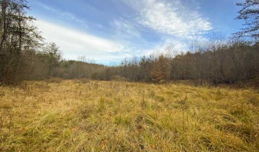 Photo of SOLD!!  46 Acres of Farm and Hunting Land for Sale in Stokes County NC!