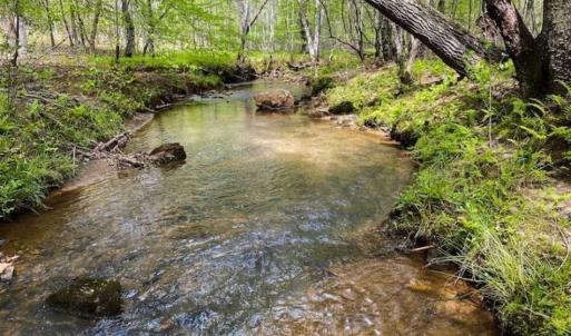 Photo of SOLD!!  46 Acres of Farm and Hunting Land for Sale in Stokes County NC!