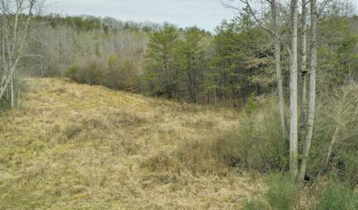 Photo of SOLD!!  46 Acres of Farm and Hunting Land for Sale in Stokes County NC!