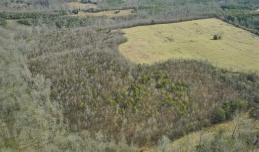Photo of SOLD!!  46 Acres of Farm and Hunting Land for Sale in Stokes County NC!