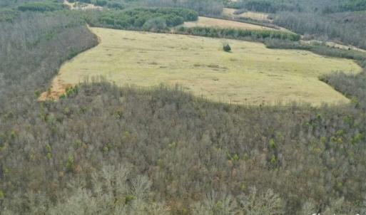 Photo of SOLD!!  46 Acres of Farm and Hunting Land for Sale in Stokes County NC!