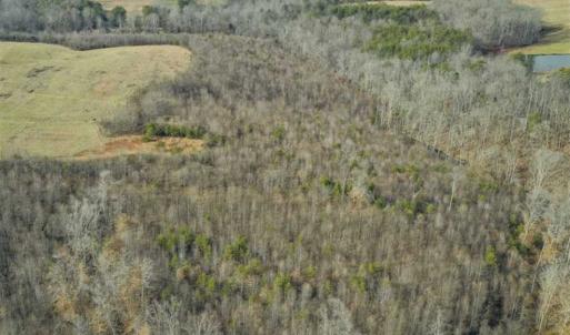 Photo of SOLD!!  46 Acres of Farm and Hunting Land for Sale in Stokes County NC!