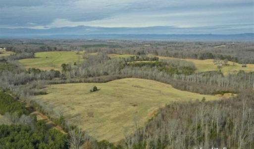 Photo of SOLD!!  46 Acres of Farm and Hunting Land for Sale in Stokes County NC!
