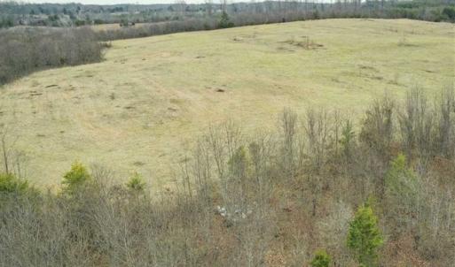 Photo of SOLD!!  46 Acres of Farm and Hunting Land for Sale in Stokes County NC!