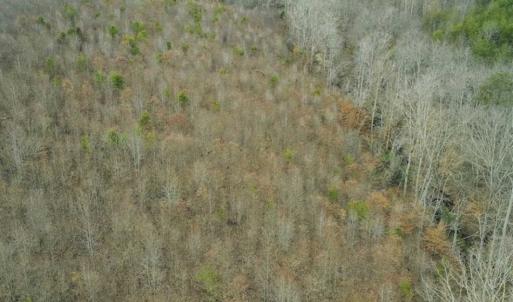 Photo of SOLD!!  46 Acres of Farm and Hunting Land for Sale in Stokes County NC!