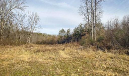 Photo of SOLD!!  46 Acres of Farm and Hunting Land for Sale in Stokes County NC!