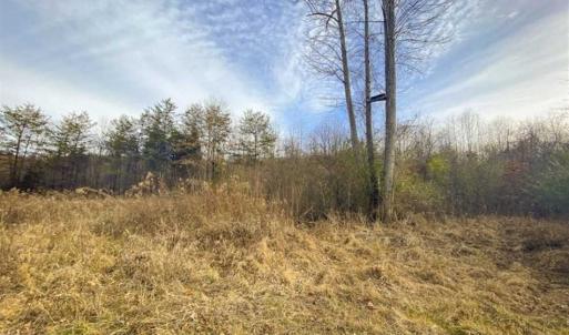 Photo of SOLD!!  46 Acres of Farm and Hunting Land for Sale in Stokes County NC!