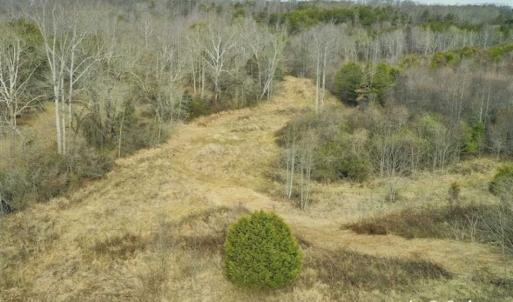 Photo of SOLD!!  46 Acres of Farm and Hunting Land for Sale in Stokes County NC!