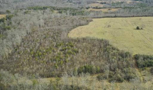 Photo of SOLD!!  46 Acres of Farm and Hunting Land for Sale in Stokes County NC!