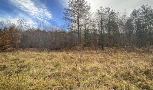 Photo of SOLD!!  46 Acres of Farm and Hunting Land for Sale in Stokes County NC!