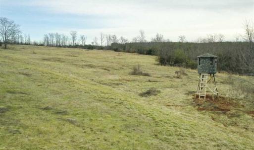 Photo of SOLD!!  46 Acres of Farm and Hunting Land for Sale in Stokes County NC!