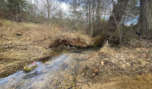 Photo of SOLD!!  46 Acres of Farm and Hunting Land for Sale in Stokes County NC!