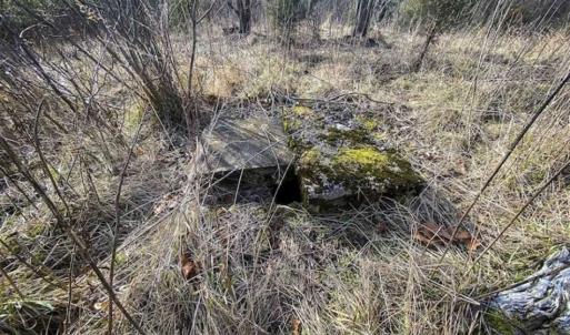 Photo of SOLD!!  46 Acres of Farm and Hunting Land for Sale in Stokes County NC!