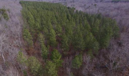 Photo of 10.72 Acres of Recreational and Hunting Land in Lunenburg County VA!