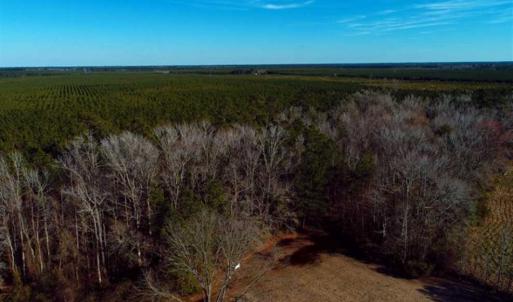 Photo of SOLD!!  2.45 Acres of Residential Land For Sale in Pender County NC!