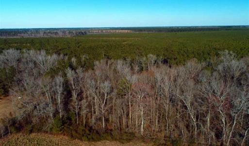 Photo of SOLD!!  2.45 Acres of Residential Land For Sale in Pender County NC!