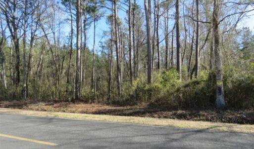 Photo of SOLD!!  2.45 Acres of Residential Land For Sale in Pender County NC!