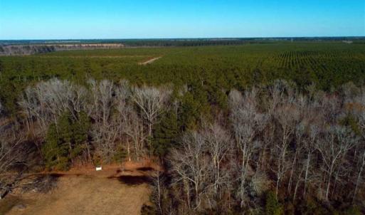 Photo of SOLD!!  2.45 Acres of Residential Land For Sale in Pender County NC!