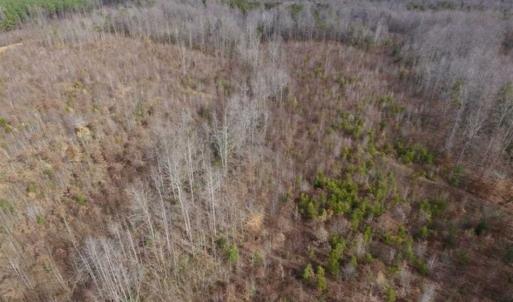 Photo of SOLD!!  15 Acres of Residential and Recreational Land in Goochland County VA!