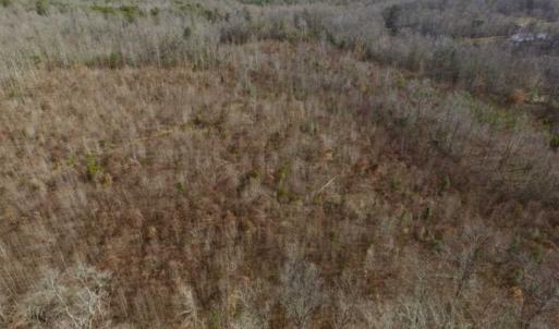 Photo of SOLD!!  15 Acres of Residential and Recreational Land in Goochland County VA!