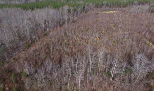 Photo of SOLD!!  15 Acres of Residential and Recreational Land in Goochland County VA!