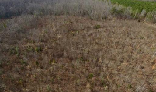 Photo of SOLD!!  15 Acres of Residential and Recreational Land in Goochland County VA!