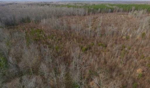 Photo of SOLD!!  15 Acres of Residential and Recreational Land in Goochland County VA!