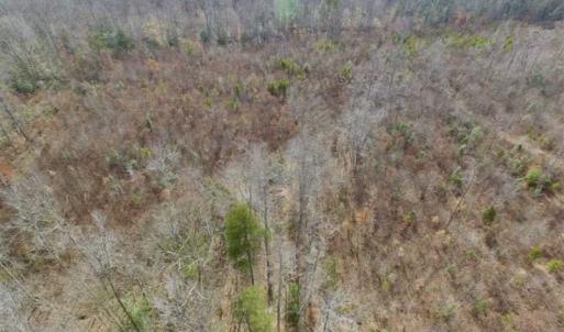 Photo of SOLD!!  15 Acres of Residential and Recreational Land in Goochland County VA!