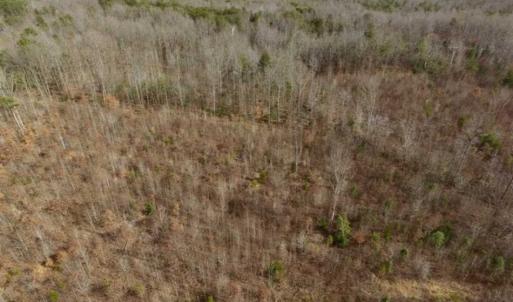 Photo of SOLD!!  15 Acres of Residential and Recreational Land in Goochland County VA!