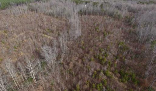 Photo of SOLD!!  15 Acres of Residential and Recreational Land in Goochland County VA!