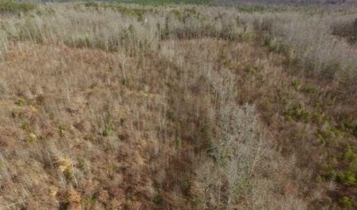 Photo of SOLD!!  15 Acres of Residential and Recreational Land in Goochland County VA!