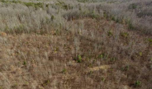 Photo of SOLD!!  15 Acres of Residential and Recreational Land in Goochland County VA!