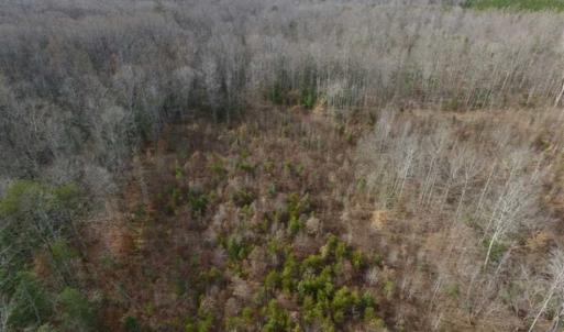 Photo of SOLD!!  15 Acres of Residential and Recreational Land in Goochland County VA!