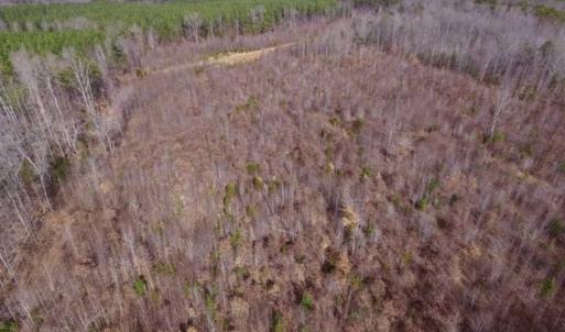 Photo of SOLD!!  15 Acres of Residential and Recreational Land in Goochland County VA!
