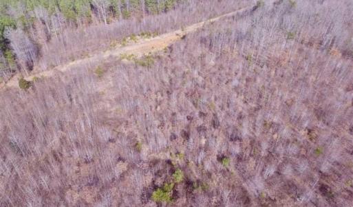 Photo of SOLD!!  15 Acres of Residential and Recreational Land in Goochland County VA!