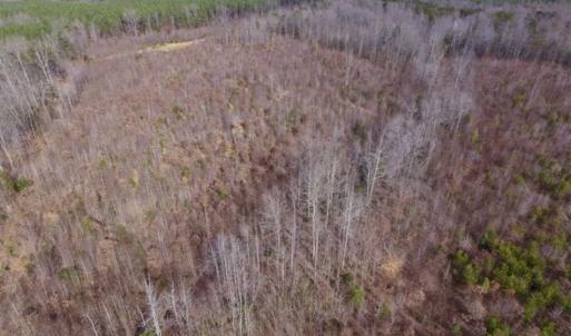 Photo of SOLD!!  15 Acres of Residential and Recreational Land in Goochland County VA!