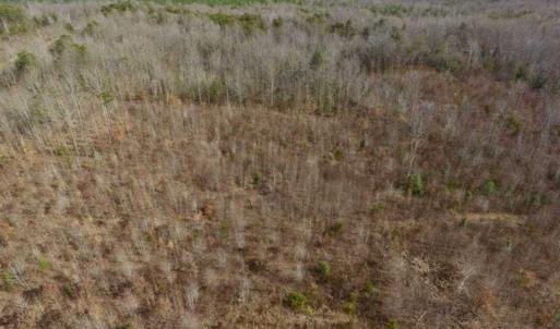 Photo of SOLD!!  15 Acres of Residential and Recreational Land in Goochland County VA!