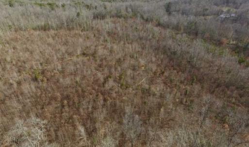 Photo of SOLD!!  15 Acres of Residential and Recreational Land in Goochland County VA!