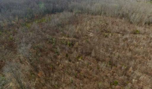 Photo of SOLD!!  15 Acres of Residential and Recreational Land in Goochland County VA!