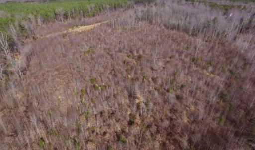 Photo of SOLD!!  15 Acres of Residential and Recreational Land in Goochland County VA!